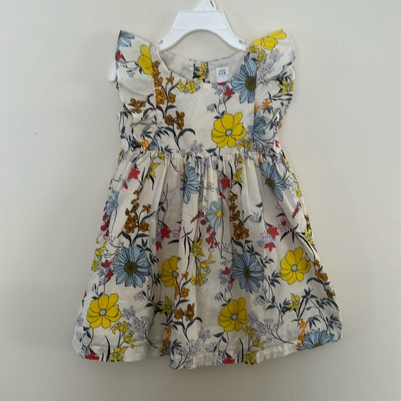 GAP Other - BABY GAP | TODDLER GIRL RUFFLE DRESS WITH FLOWERS | SIZE 3